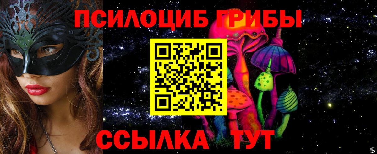 Великий Устюг  Псилоцибиновые грибы мухоморы  Вход с VPN 